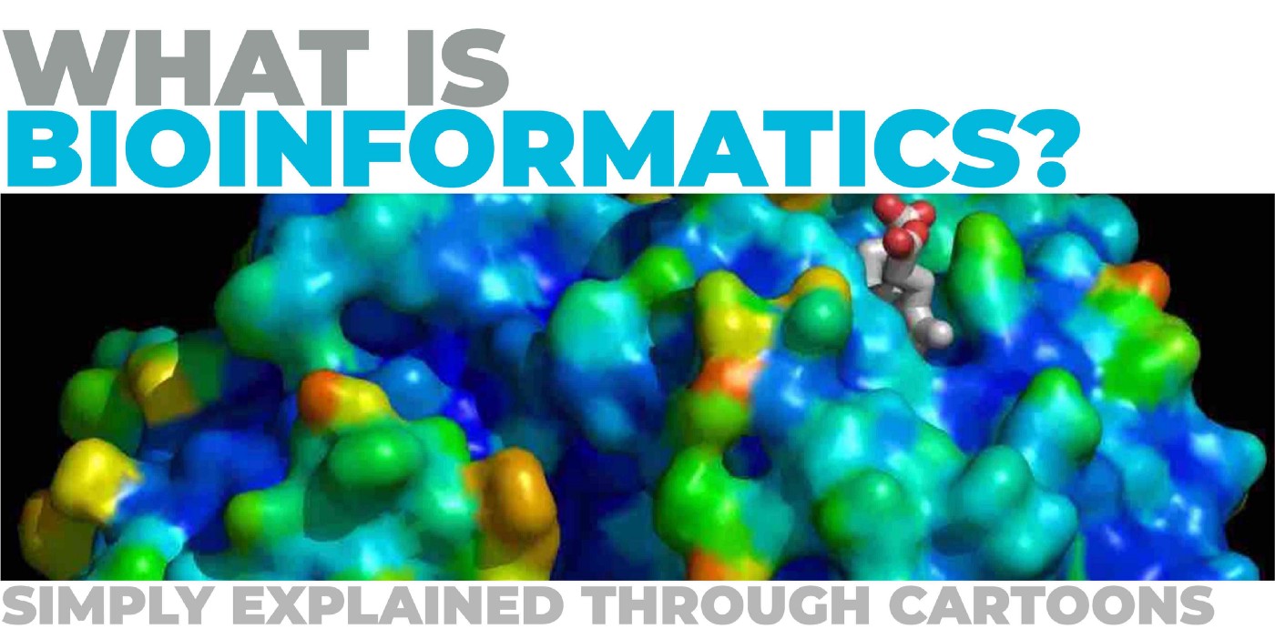 What Is Bioinformatics | Droos Chuck
